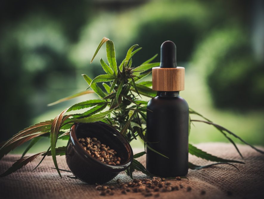 Polish skin care cosmetics with CBD. Which products deserve our attention?