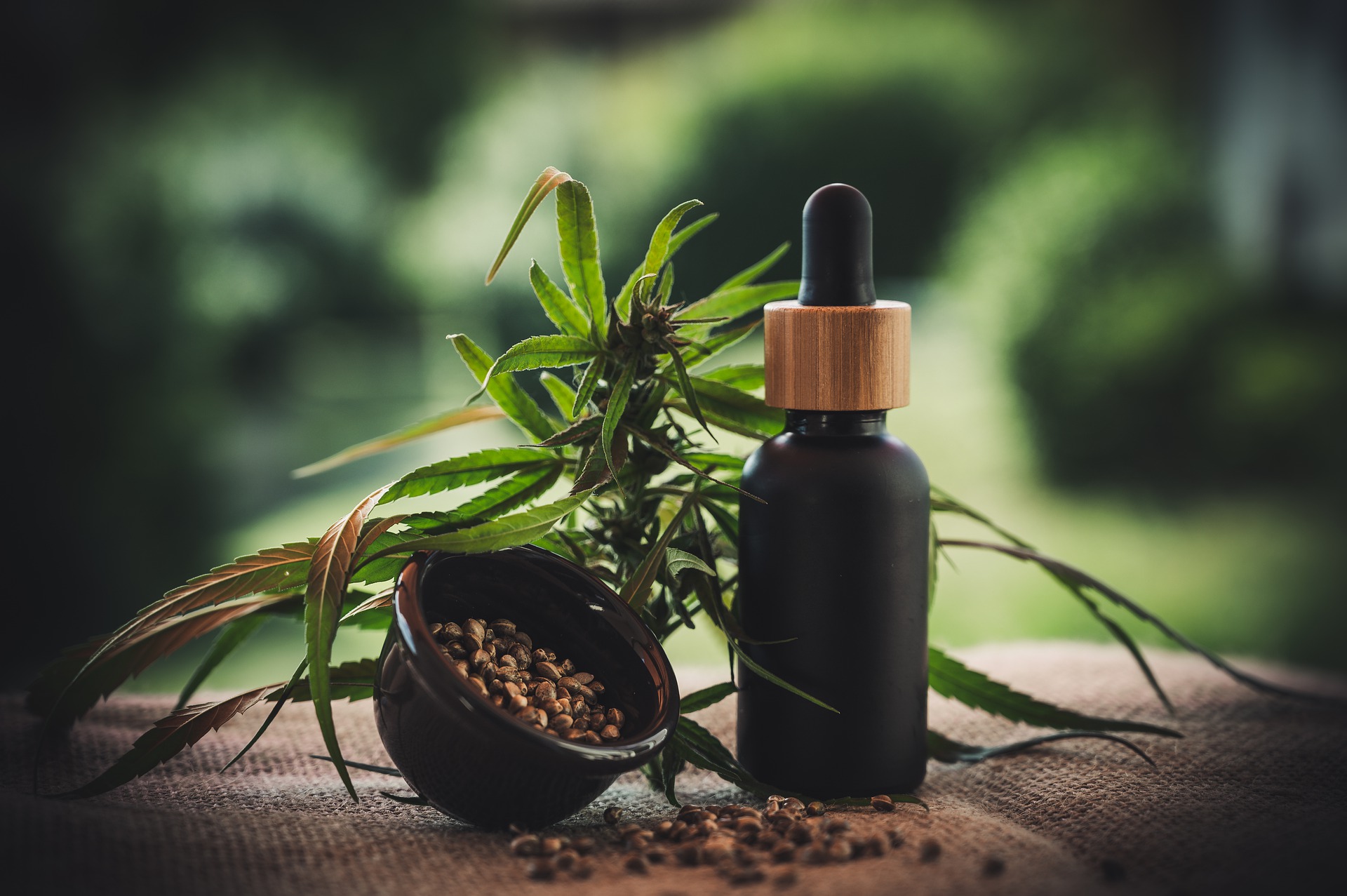 Polish skin care cosmetics with CBD. Which products deserve our attention?